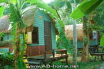 Photos of Paradise Cottage