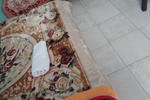 Hostel Razio City Center - Image 10