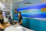 Gilligan's Backpacker Hotel & Resort Cairns - Image 8