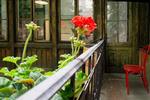 Riverside Central Hostel - Image 2