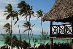 Baby Bush Lodge - Image 3