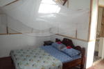 Baby Bush Lodge - Image 9