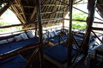 Baby Bush Lodge - Image 10