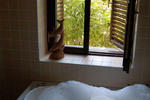 The Hadrianus Hotel - Image 5