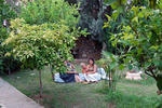 The Hadrianus Hotel - Image 6