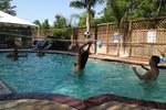 HI-Houston: The Morty Rich Hostel - Image 4
