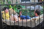 HI-Houston: The Morty Rich Hostel - Image 9