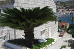Villa Divine - Image 8