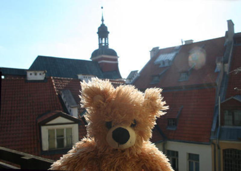 Teddy Bear Hostel Riga  0