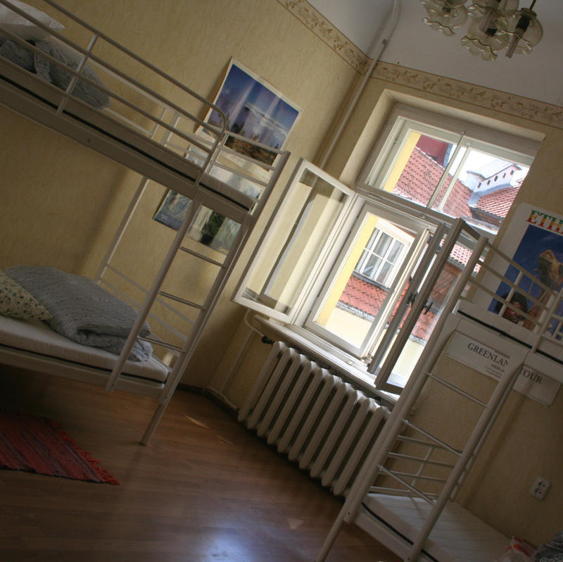 Teddy Bear Hostel Riga  3