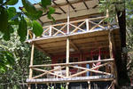 Photos of Red Frog Villas