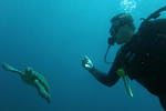 Nova Villa Tortuga - Image 9