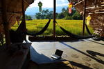 Spicypai Backpackers - Image 8