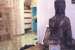 Zen House B&B