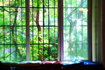 Photos of Panamas Hostel