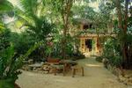 El Jardin de Frida - Image 3