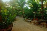 El Jardin de Frida - Image 4