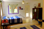 El Jardin de Frida - Image 8