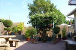Orange Mango Garden Hostel - Image 5