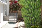 Diana Guesthouse - Image 5