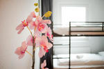 Alexanderplatz Accomodation - Image 8