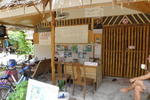 Photos of Flower Bungalow Phi Phi