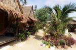 Photos of Flower Bungalow Phi Phi