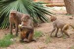Friends Paying Guest House - Image 7