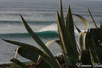 Photos of Ericeira Surf Hostel & Guest House