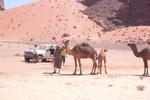 Bedouin Lifestyle Camp
