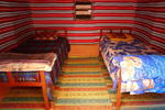 Bedouin Lifestyle Camp - Image 2