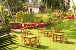 Soma Palmshore - Image 2