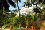 Soma Palmshore - Image 4
