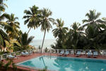 Soma Palmshore - Image 5