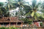Soma Palmshore - Image 6