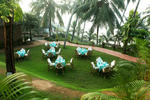Soma Palmshore - Image 7
