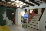 Photos of Iguana's House