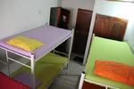 Photos of Iguana's House