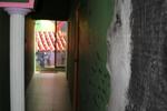 Photos of Iguana's House