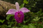 Photos of Omshanty
