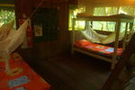 Photos of Omshanty