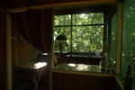 Photos of Omshanty