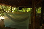 Photos of Omshanty