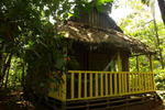 Photos of Omshanty
