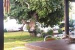 Milfontes Surf Guesthouse - Image 3