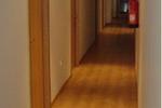 Photos of Myosotis Oporto Hostel