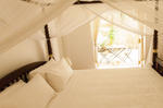 Mango House - Image 3