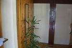 Photos of Guest House Olbina