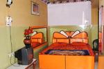 Photos of Hotel Shree Palace