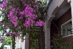 The Palace Hostel - Image 3
